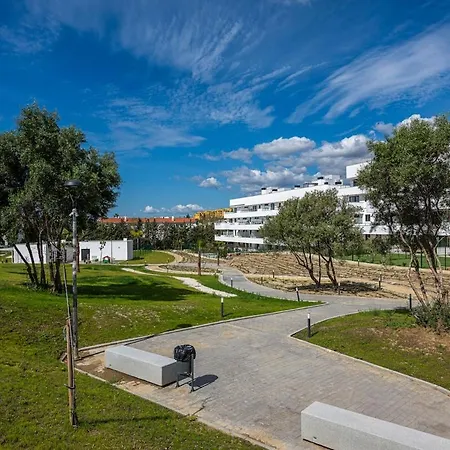 Apartment Modern In With Pool & Parking Estepona